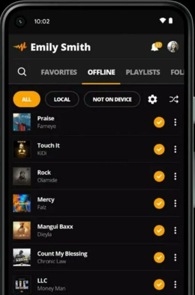 offline songs library