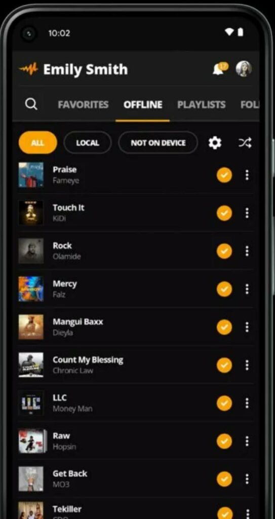 offline songs library on audiomack
